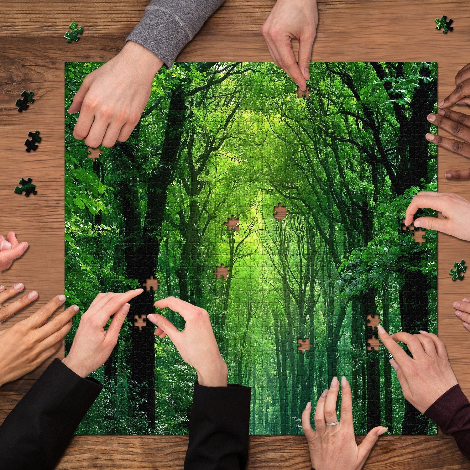 Peaceful Forest Jigsaw Puzzle 1000 Pieces