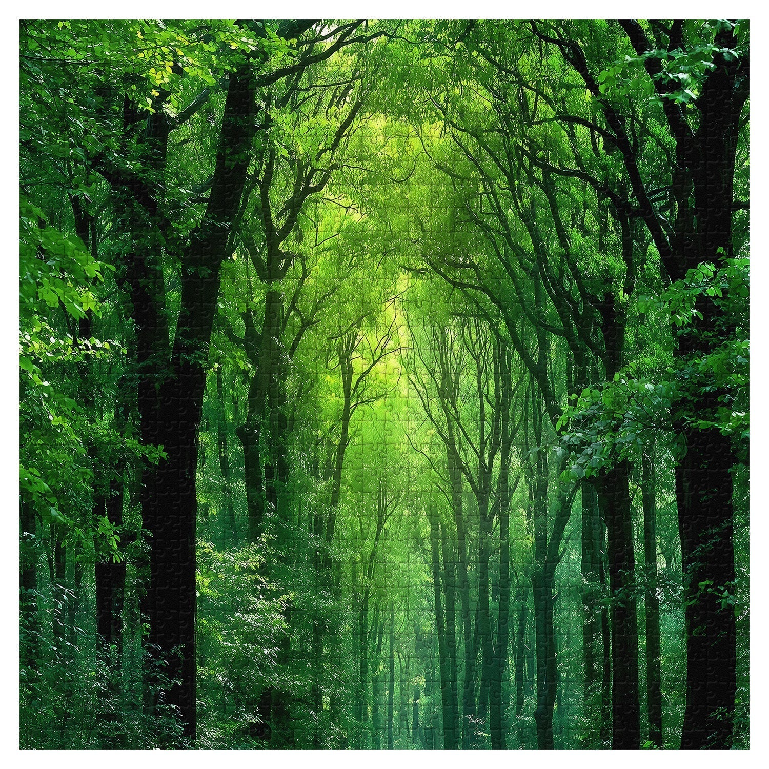 Peaceful Forest Jigsaw Puzzle 1000 Pieces