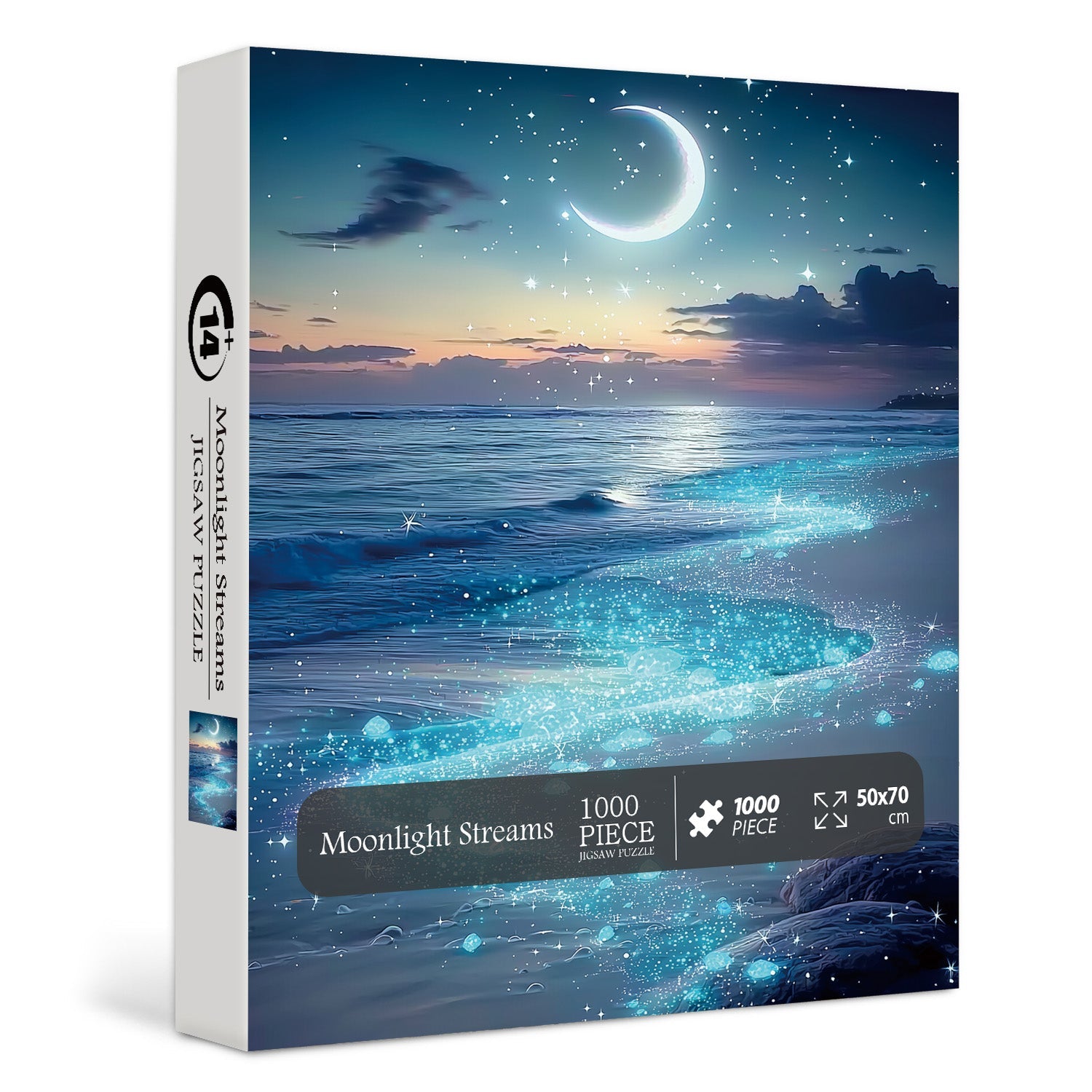 Moonlight Streams Jigsaw Puzzles 1000 Pieces