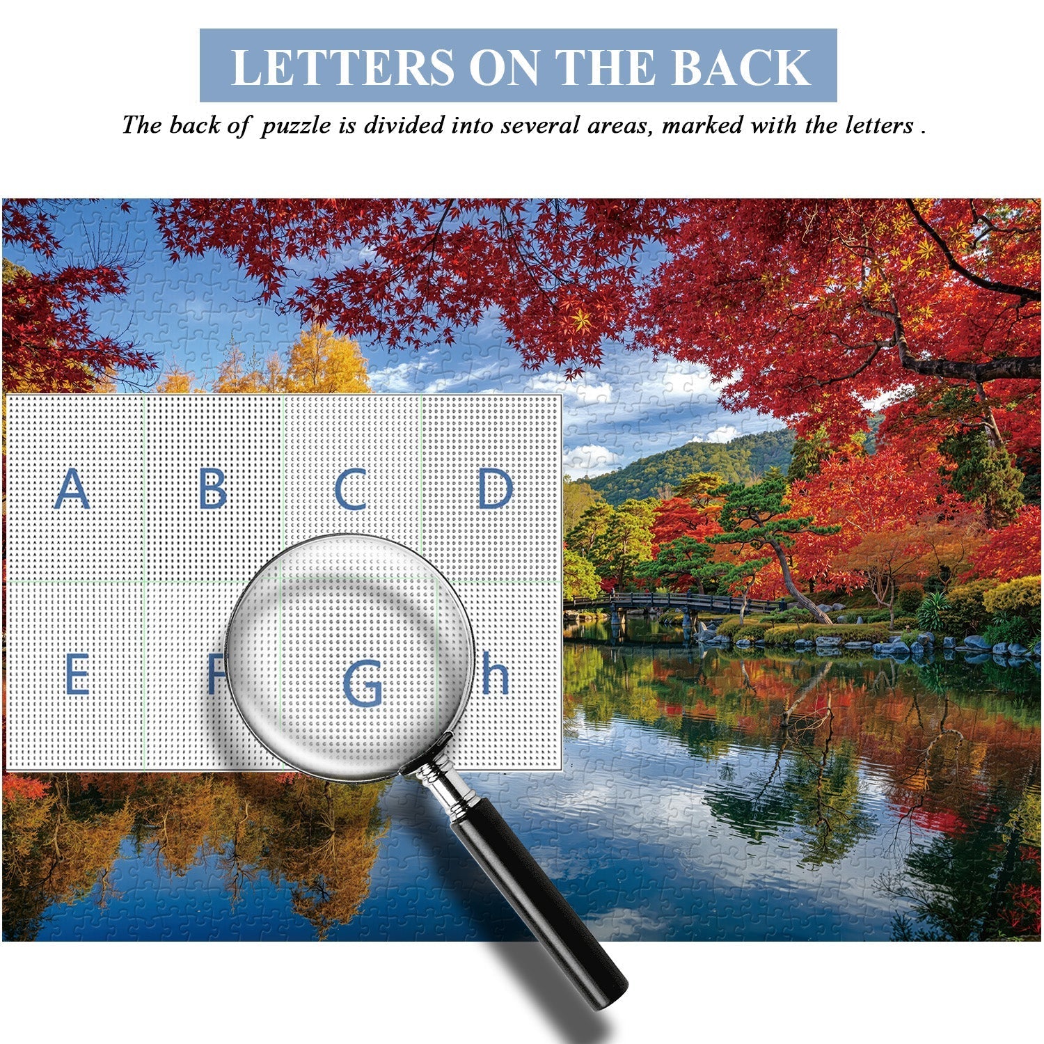 Autumn Melody Jigsaw Puzzle 1000 Pieces