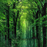 Peaceful Forest Jigsaw Puzzle 1000 Pieces