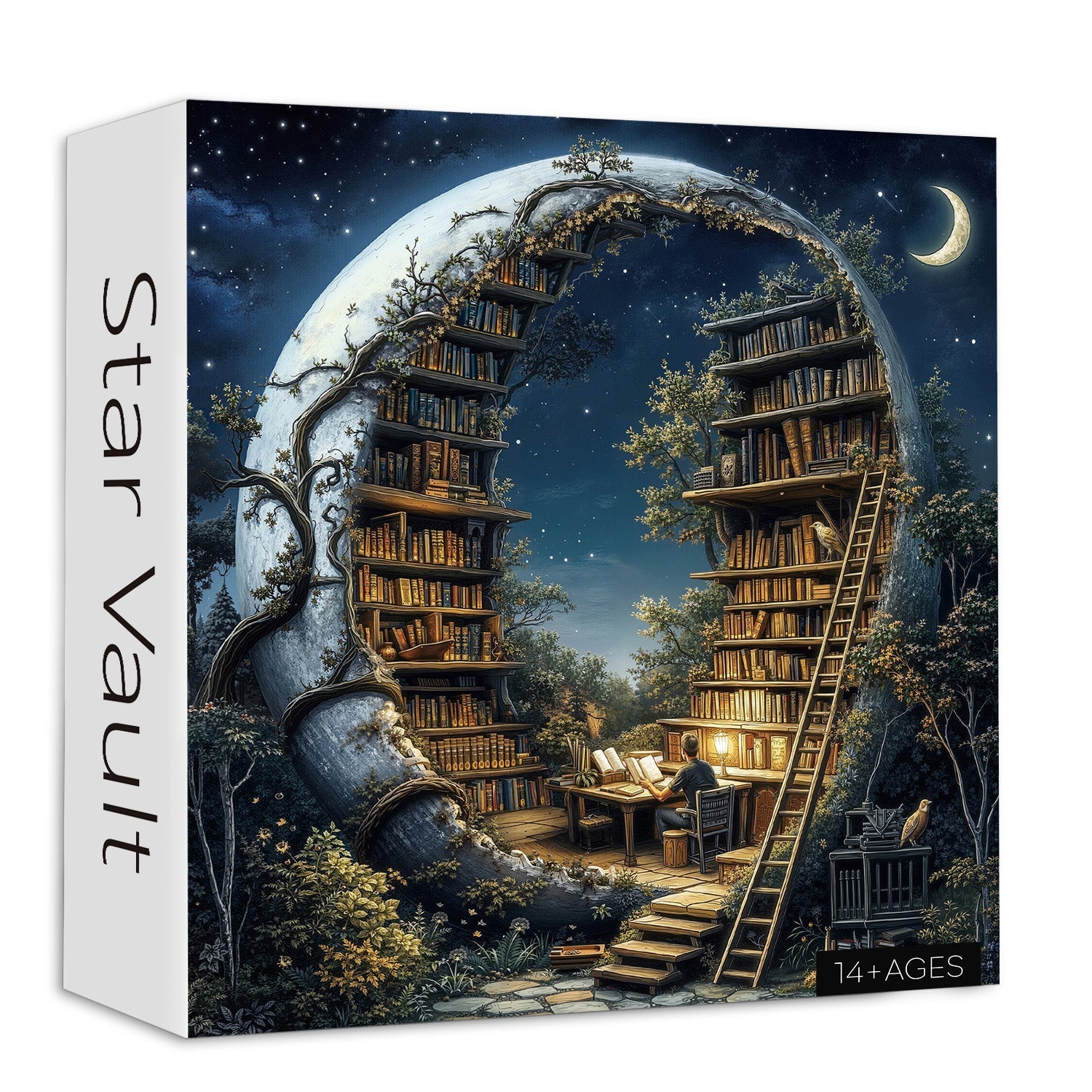 Star Vault Jigsaw Puzzle 1000 Pieces