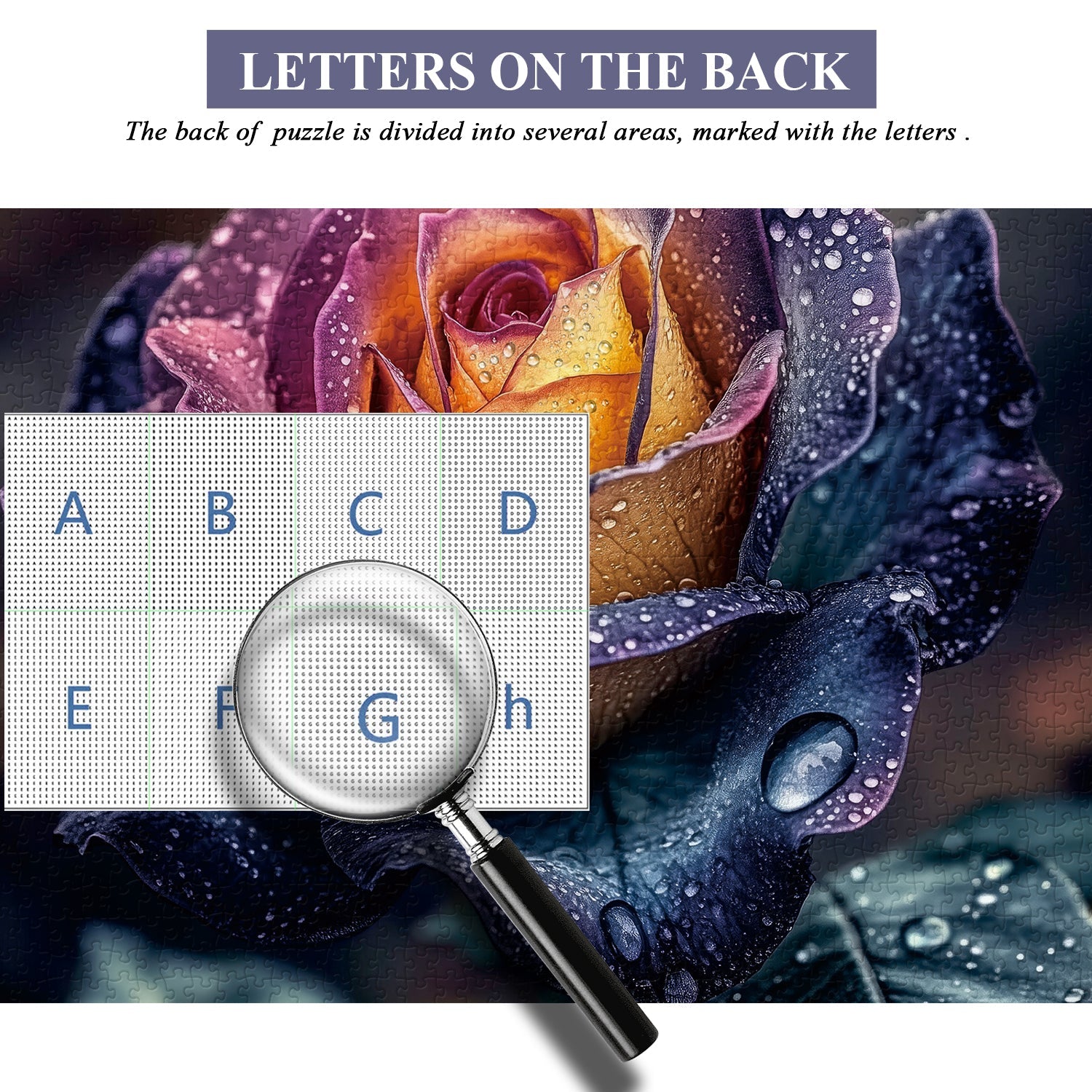 Rainbow Rose Jigsaw Puzzles 1000 piezas