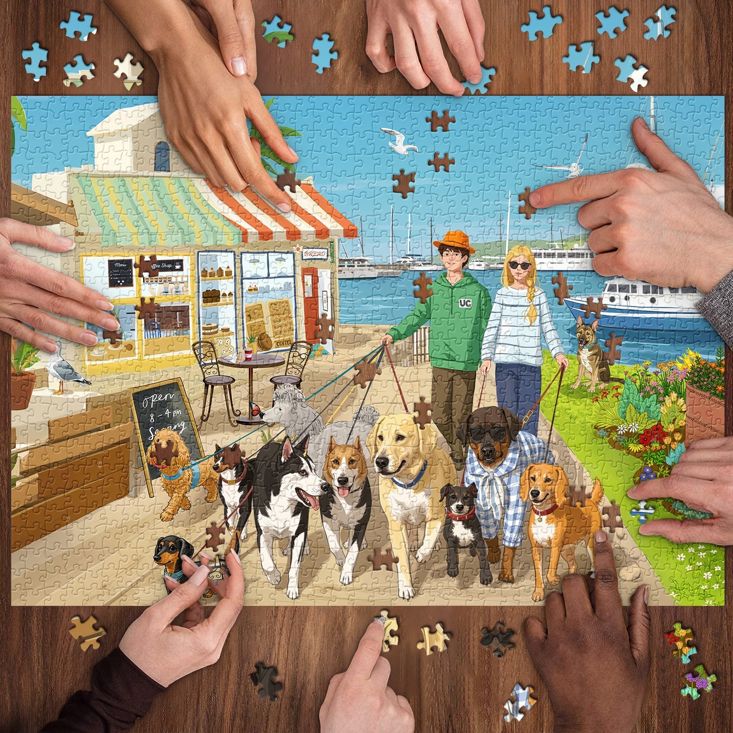 A Coastal Walk Jigsaw Puzzle 1000 Pieces