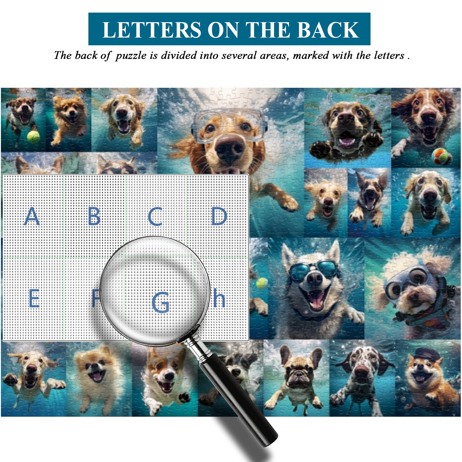 Pielz de rompecabezas de perro submarino 1000 piezas