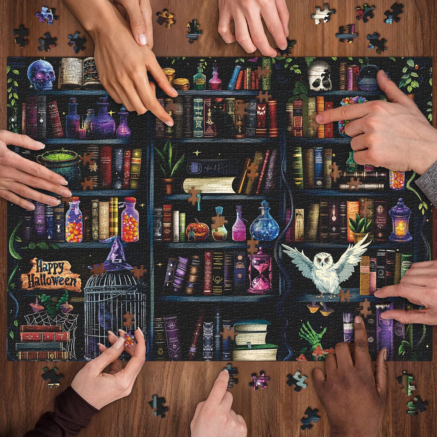 Magical Bookshelf Mystery Jigsaw Puzzle 1000 Pieces