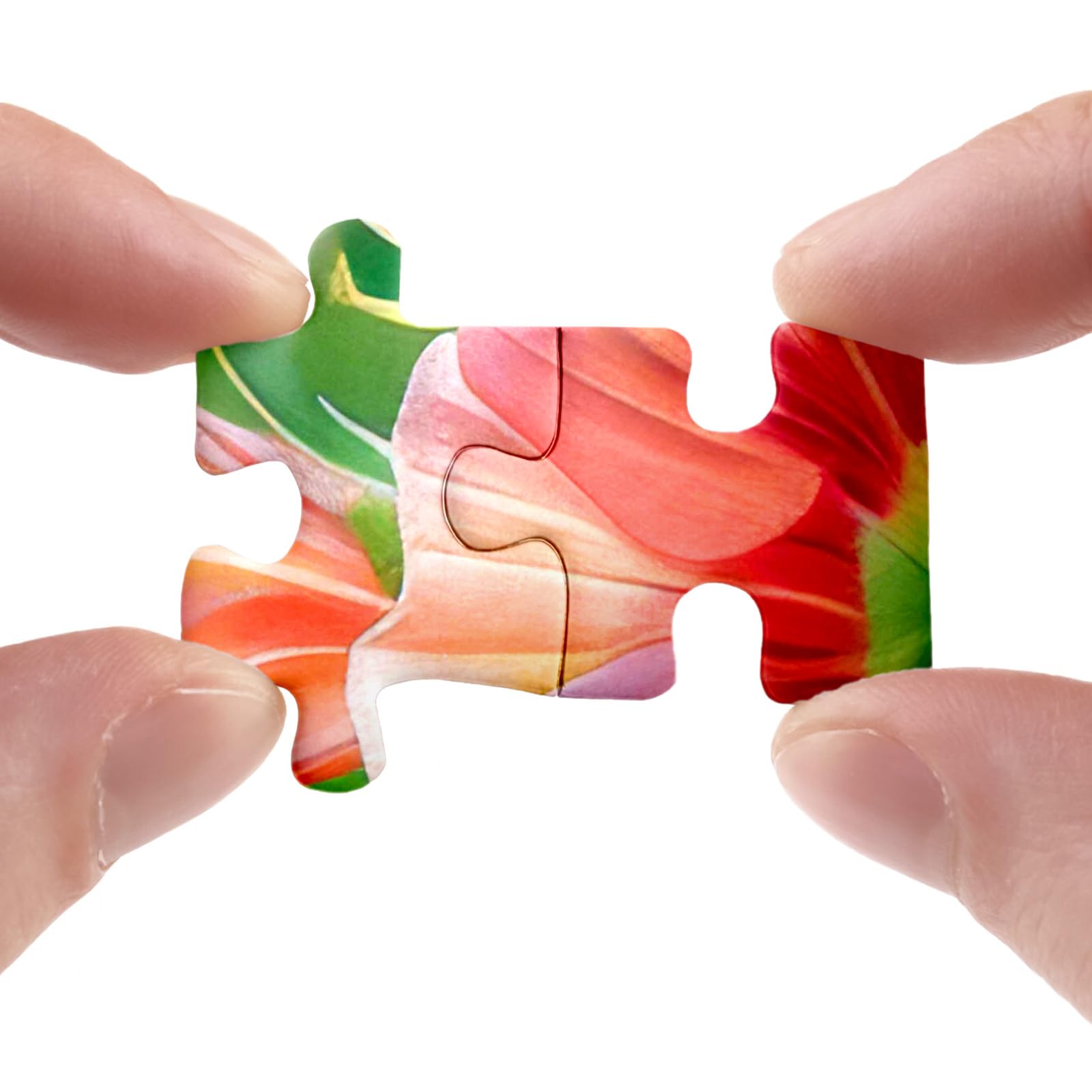 Melodía de rocío rompecabezas 1000 piezas