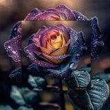 Rainbow Rose Jigsaw Puzzles 1000 piezas