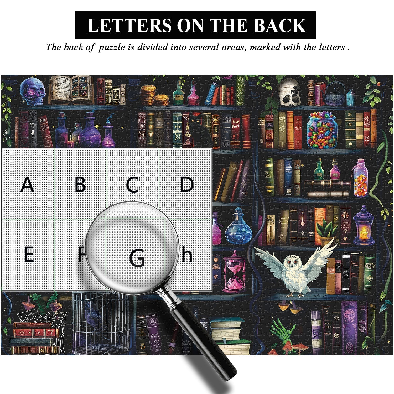 Magical Bookshelf Mystery Jigsaw Puzzle 1000 Pieces