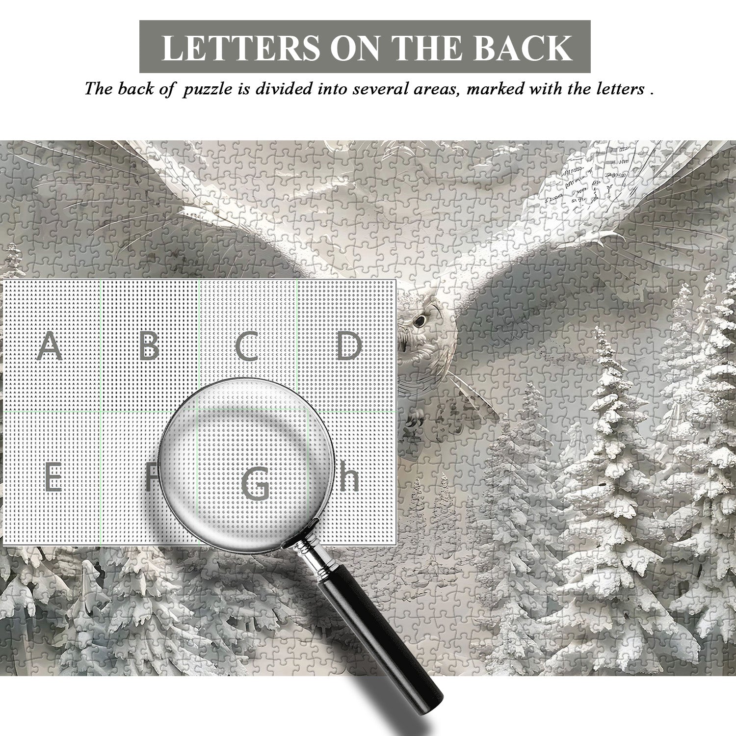 Rompecabezas De Búho En La Nieve 1000 Piezas