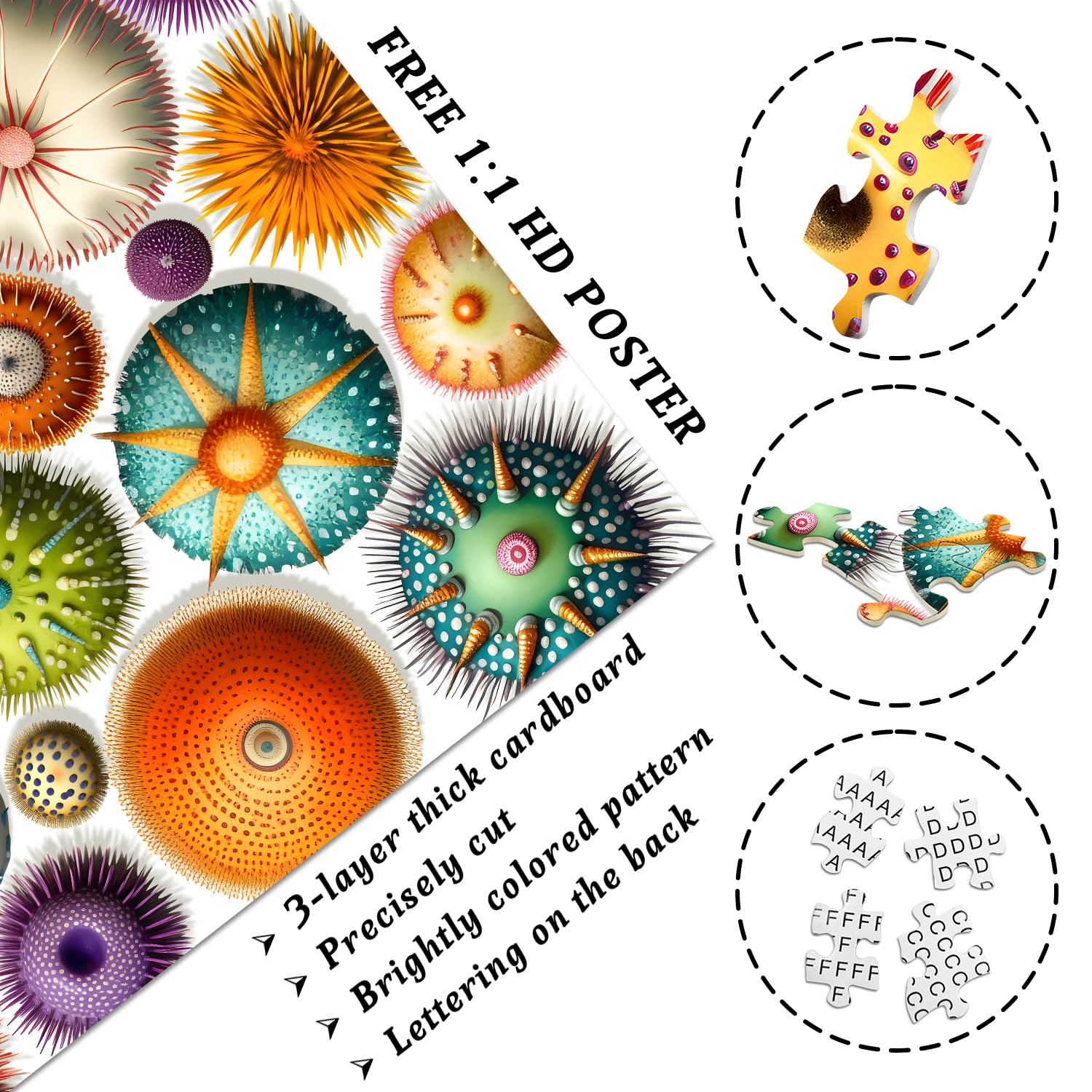 Coloridos puzzles de rompecabezas de erizo de mar 1000 piezas