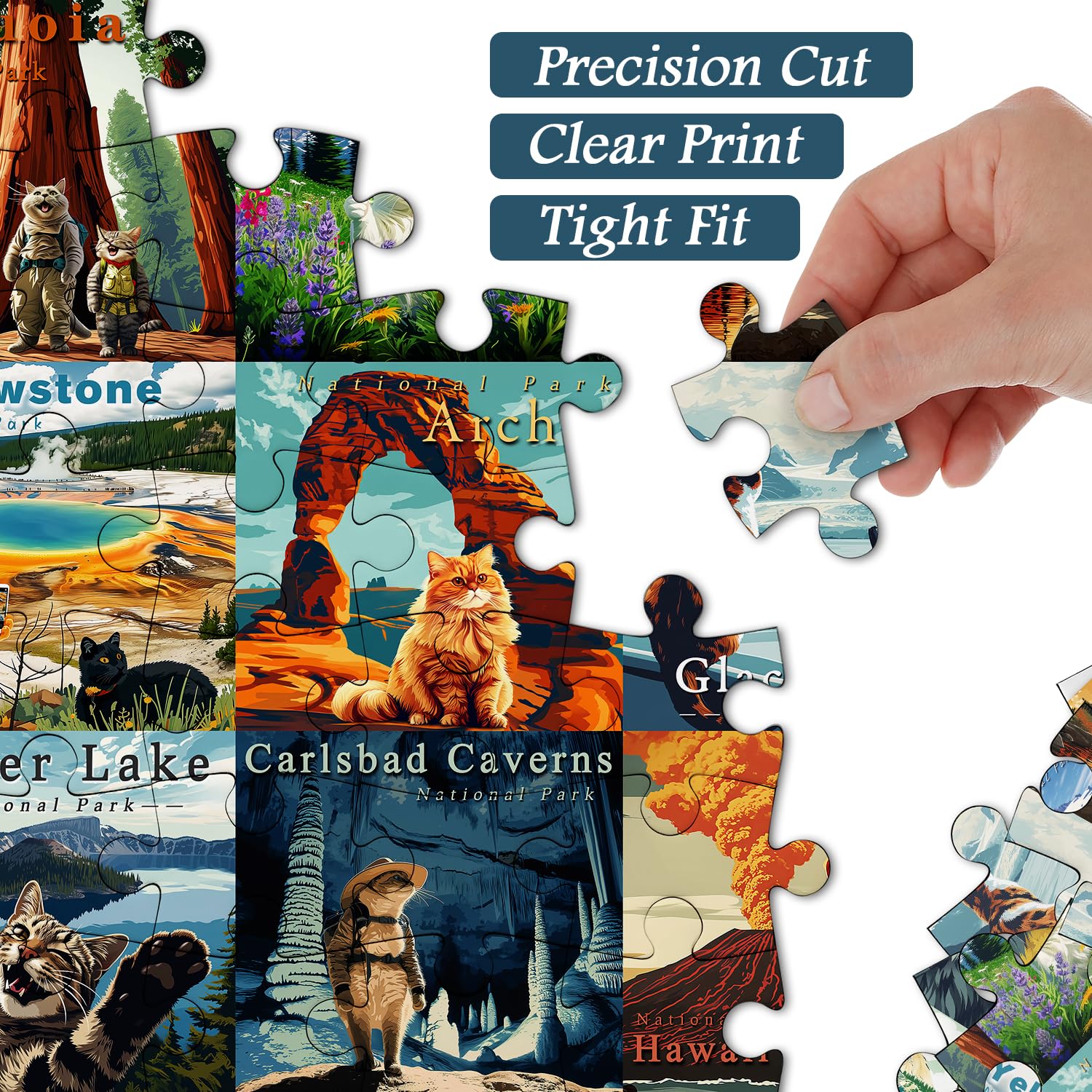 Katzen Nationalparks Puzzle 1000 Stücke