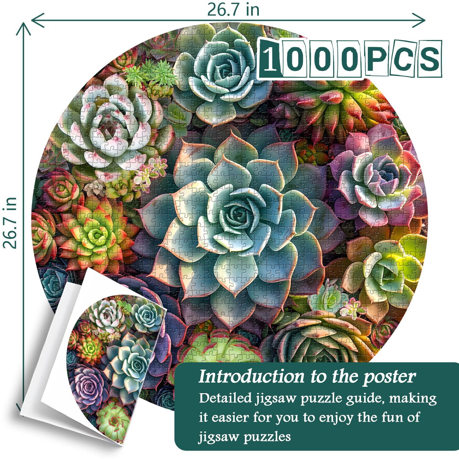Puzzle puzzle succulente vintage 1000 pezzi