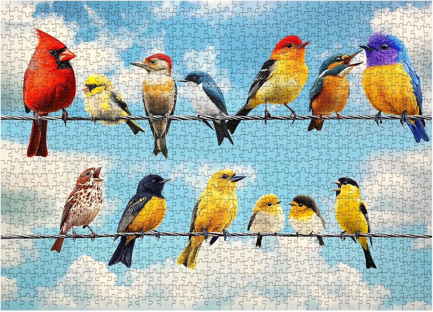 Birds of Joy Jigsaw Puzzle 1000 piezas