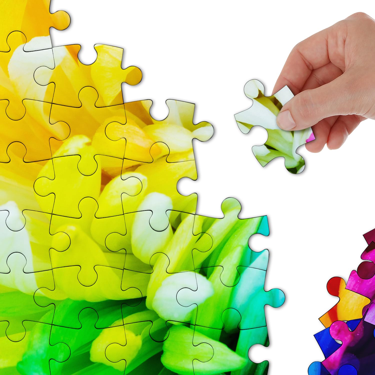 Imposible colorido crisantemo rompecabezas rompecabezas 1000 piezas