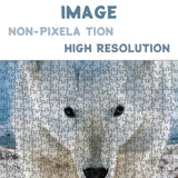 Iceberg Bear Rompecabezas Rompecabezas 1000 piezas