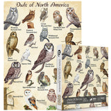 Vintage The North American Owl Jigsaw Puzzle 1000 piezas