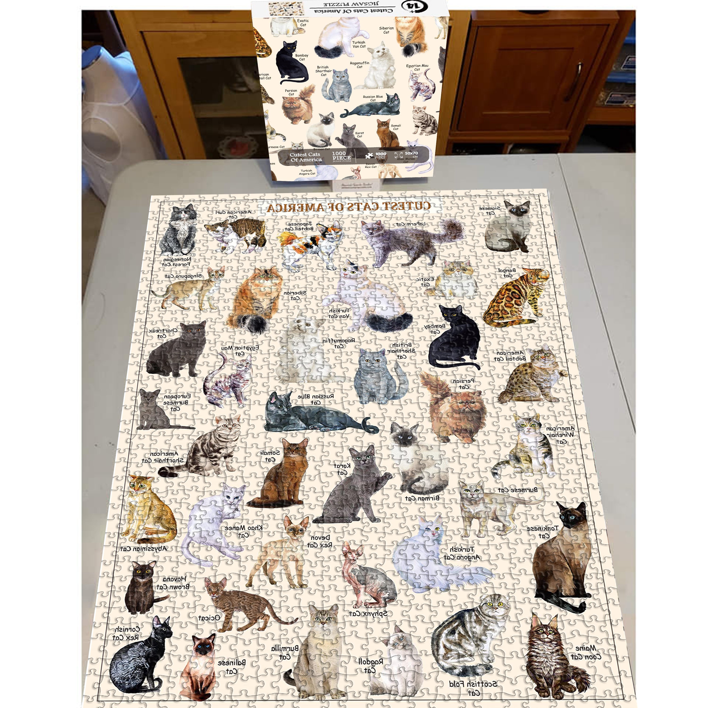 Das süßeste Katzenpuzzle 1000 Stücke