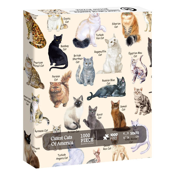 Jumbo Puzzle 1000 Pezzi – Poster Di Gatti – Collezione Premium, Cartone Riciclato, Finitura Poster, Misura 68x49cm