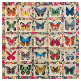 Butterfly Specimens Jigsaw Puzzle 1000 Pieces