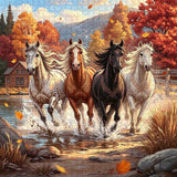 Soul in Colors Puzzle 1000 Teile (Kopie)