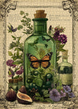 Butterfly Potion Jigsaw Puzzle 1000 Piece