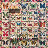 Butterfly Specimens Jigsaw Puzzle 1000 Pieces
