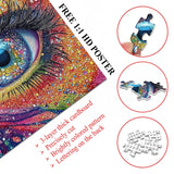Vivid Gaze Jigsaw Puzzles 1000 Piece