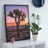 Joshua Tree Jigsaw Puzzles 1000 Pieces