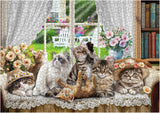 Cute Kittens Jigsaw Puzzle 1000 Pieces