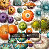 Colorful Sea Urchin Jigsaw Puzzles 1000 Pieces