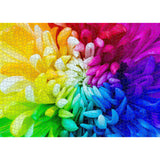 Impossible Colorful Chrysanthemum Jigsaw Puzzle 1000 Pieces
