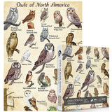 Vintage the North American Owl Jigsaw Puzzle 1000 Pieces