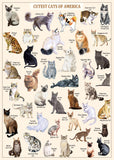 The Cutest Cat Jigsaw Puzzle 1000 Pieces